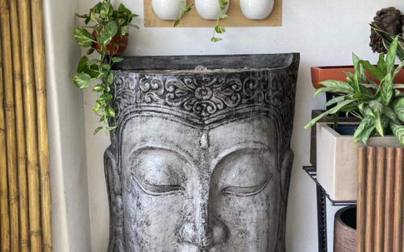 480877613_9338840092876360_8635997717999794581_n